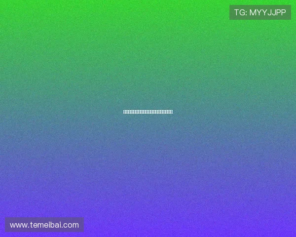 蜘蛛巧妙收网背后隐藏的生存智慧与生态意义